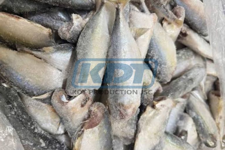 cá bạc má đông lạnh