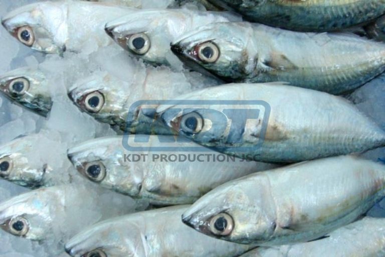cá bạc má đông lạnh