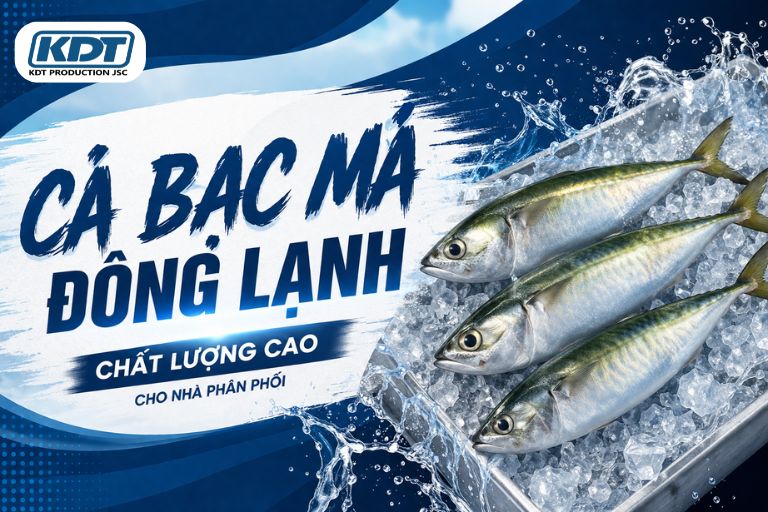 Premium Frozen Indian Mackerel for Seafood Distributors