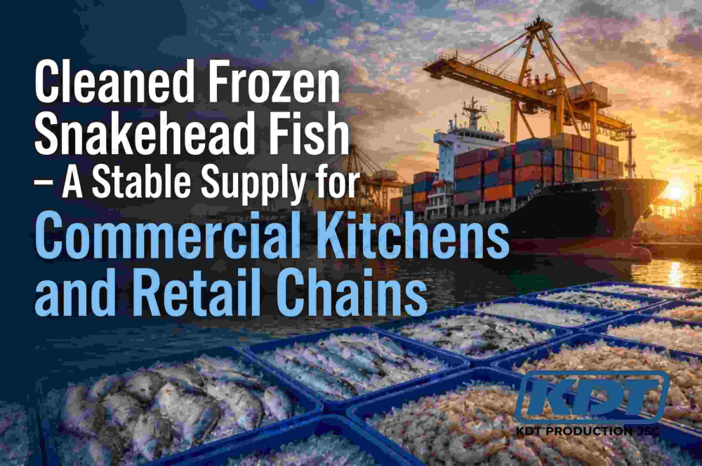 Cleaned Frozen Snakehead Fish – A Stable Supply for Commercial Kitchens and Retail Chains