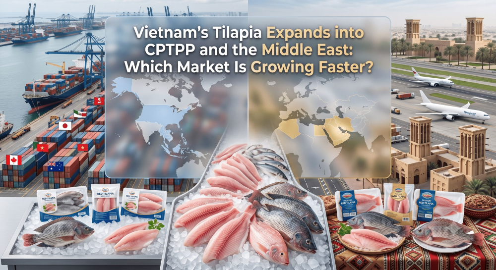 Vietnam’s Tilapia Expands into CPTPP and the Middle East: Which Market Is Growing Faster?