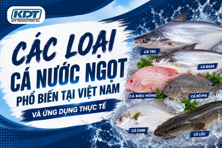 Popular Freshwater Fish in Vietnam for Processing and Distribution