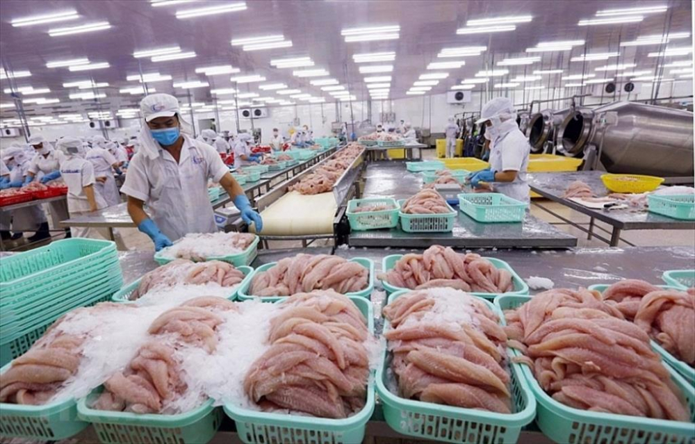 Transparency in exported seafood products