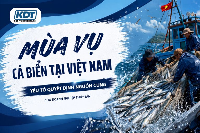 Vietnam's Marine Fishing Seasons and Sustainable Seafood Supply