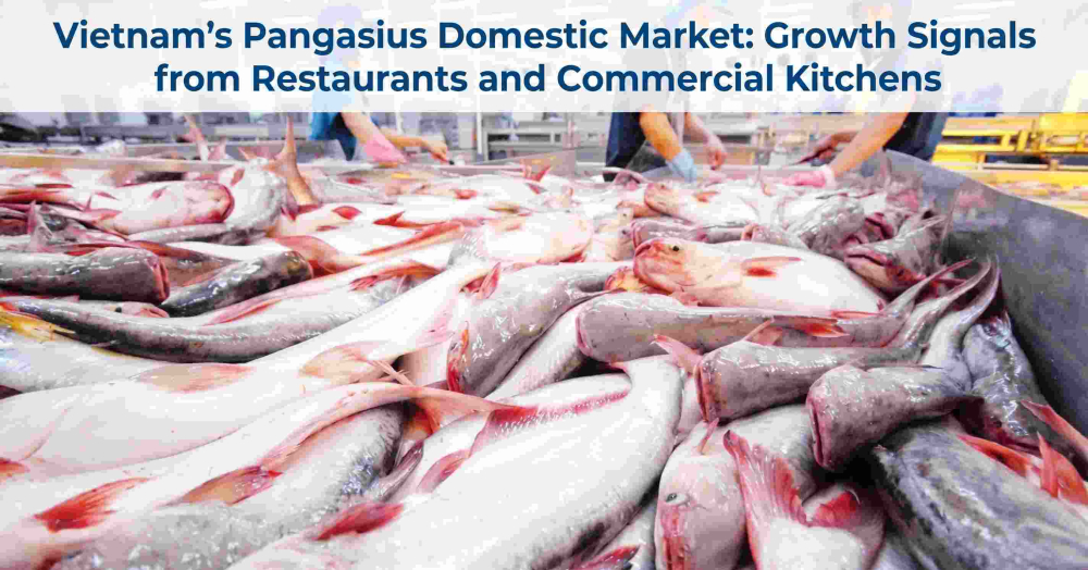 Vietnam's Pangasius Domestic Market: Growth Signals from Restaurants and Commercial Kitchens