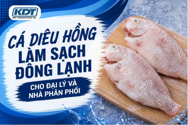 Cleaned Frozen Red Tilapia for Wholesalers and Distributors