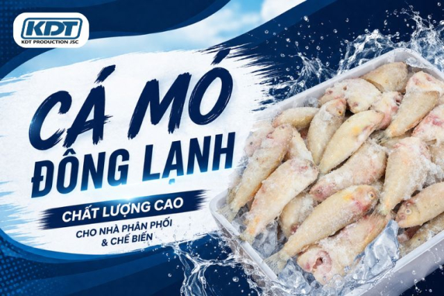 Premium Frozen Parrotfish for Seafood Distribution & Processing
