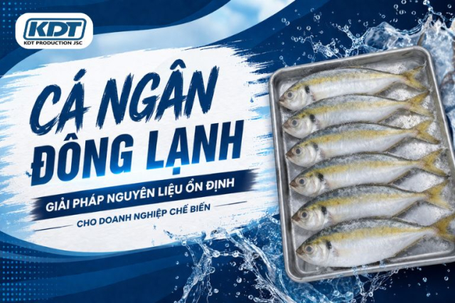 Premium Frozen Silver Fish for Food Processing & Distribution
