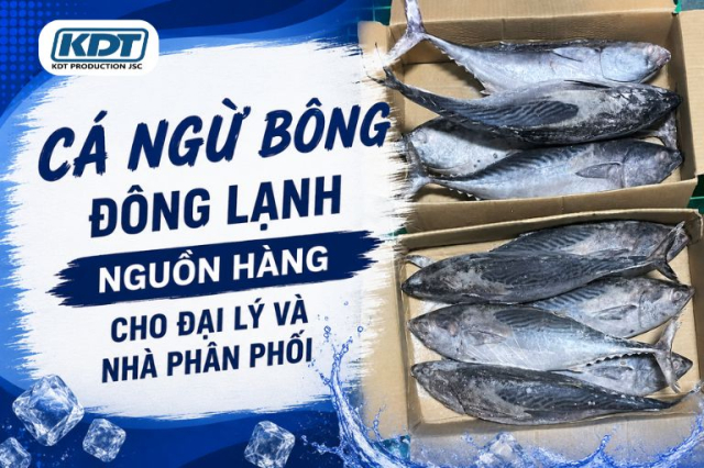 Frozen Kawakawa Tuna – Supply for Wholesalers and Distributors