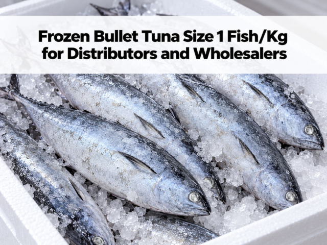 Frozen Bullet Tuna Size 1 Fish/Kg for Distributors and Wholesalers
