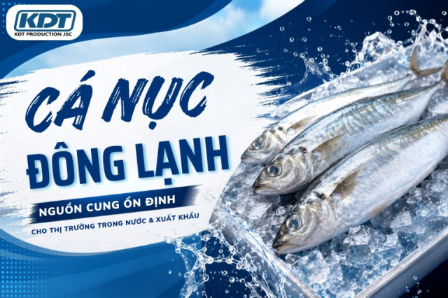 Premium Frozen Round Scad – A Stable Supply for Domestic & Export Markets