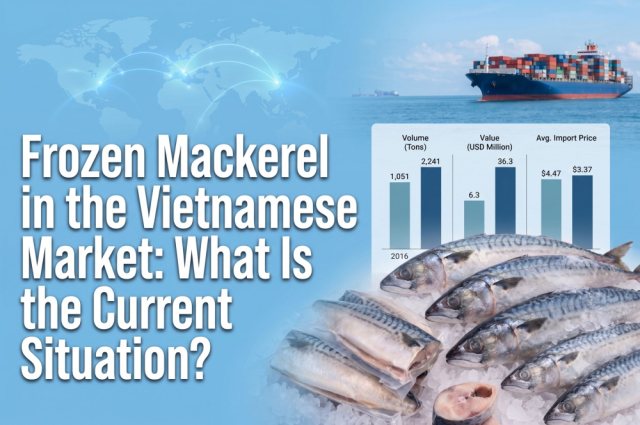 Frozen Mackerel in the Vietnamese Market: What Is the Current Situation?