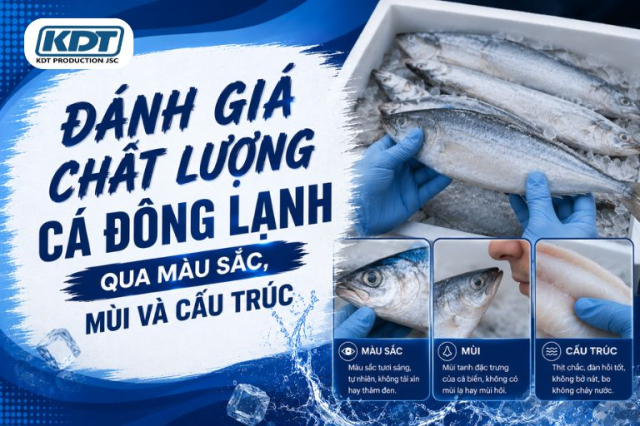 How to Evaluate Frozen Fish Quality by Color, Odor, and Texture