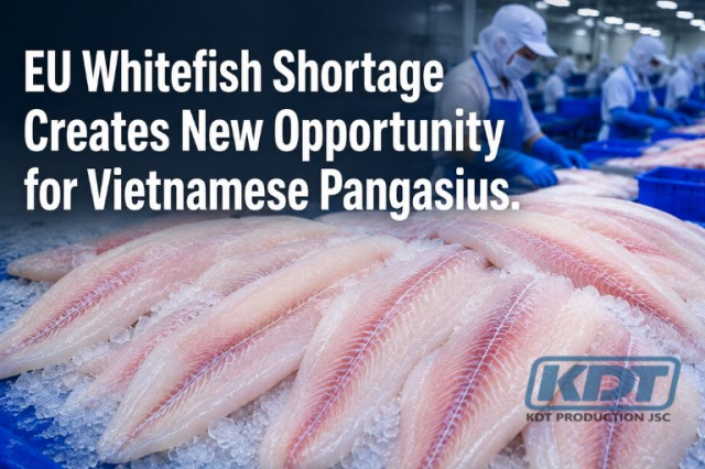 EU Whitefish Shortage Creates New Opportunity for Vietnamese Pangasius
