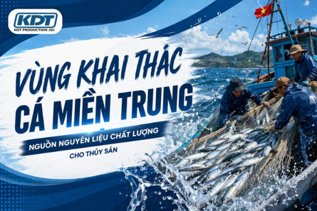 Central Vietnam Fishing Grounds – A Reliable Source of Premium Marine Fish