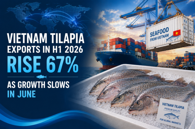 Vietnam Tilapia Exports in H1 2026 Rise 67% as Growth Slows in June