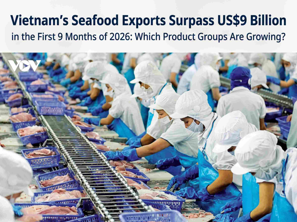 Vietnam’s Seafood Exports Surpass US$9 Billion in the First 9 Months of 2026: Which Product Groups Are Growing?