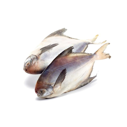 Red Pomfret
